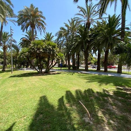 Tropical Loft Apartment Alicante Exterior photo
